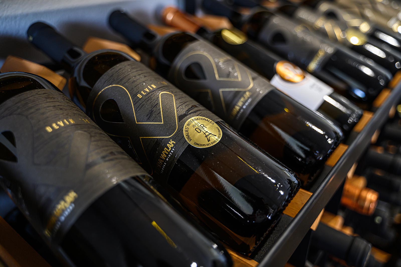 Svadba v Terra Wylak Winery - Veľké Zálužie: svadobné miesto vo vinárstve so svadobným stanom pre 150 hostí a výhľadom na Zobor.