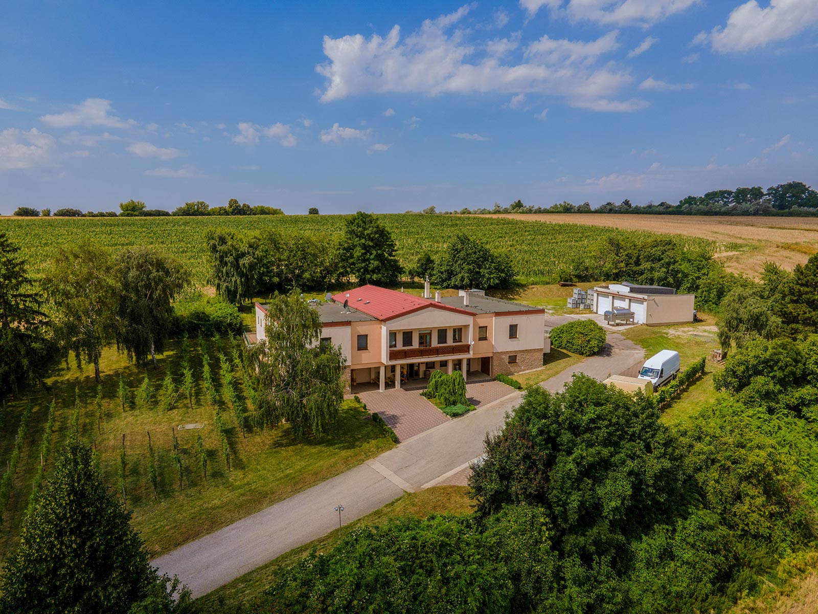 Svadba v Terra Wylak Winery - Veľké Zálužie: svadobné miesto vo vinárstve so svadobným stanom pre 150 hostí a výhľadom na Zobor.