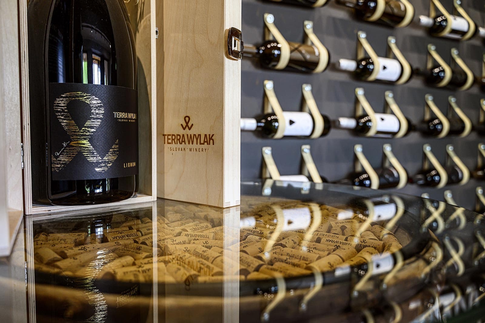 Svadba v Terra Wylak Winery - Veľké Zálužie: svadobné miesto vo vinárstve so svadobným stanom pre 150 hostí a výhľadom na Zobor.